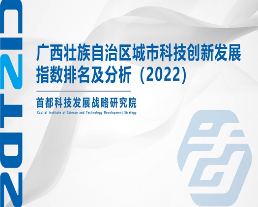 黄色大片操逼【成果发布】广西壮族自治区城市科技创新发展指数排名及分析（2022）